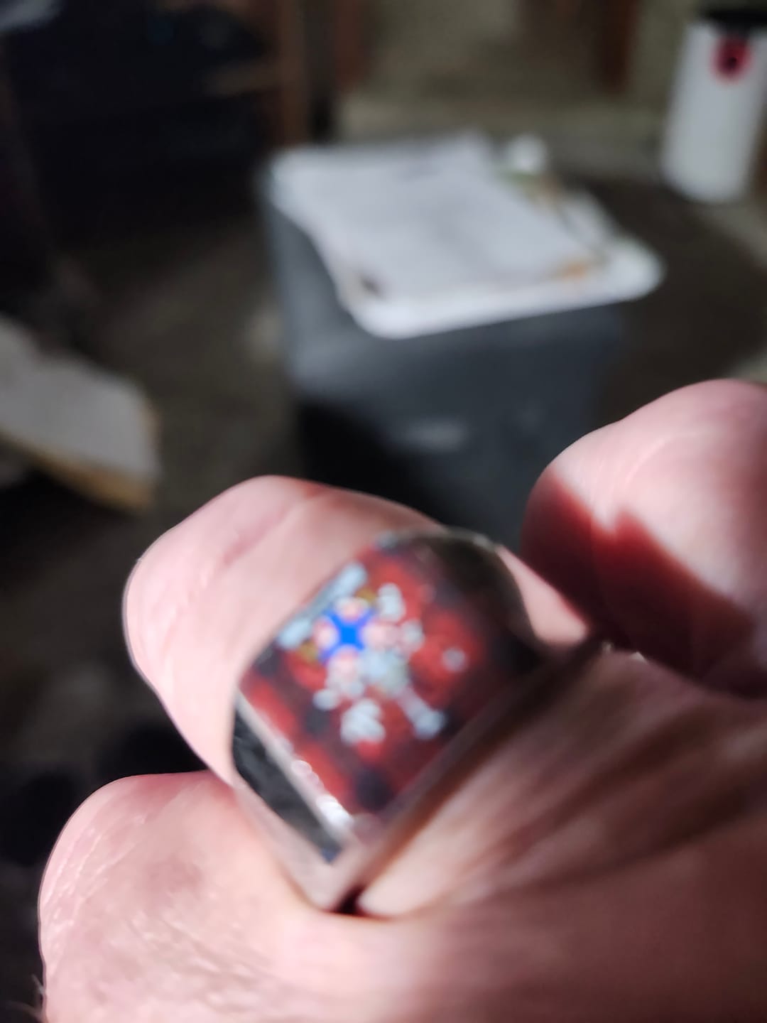 Customer photo review of Irish Larkin Family Crest Tartan Ring