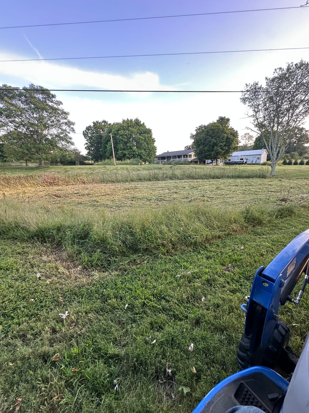 Customer photo review of Winter Wheat Food Plot Seed