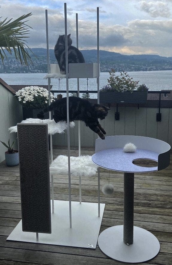 Customer photo review of STYA Katzen Kratzbaum MS510
