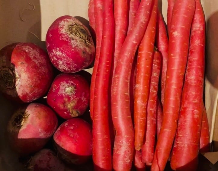 Customer photo review of Karotten “Rote Helene“ Bio Familie Schoof Demeter