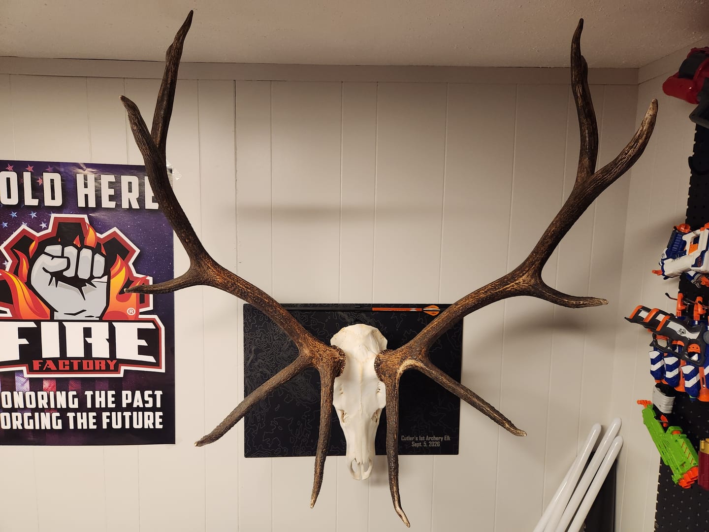 Customer photo review of Large Game Plaques