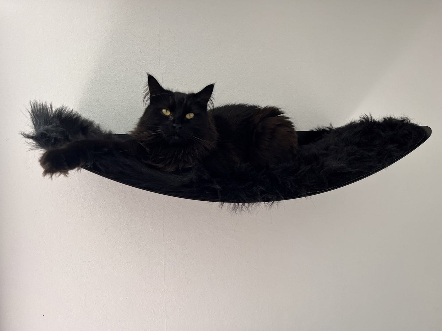 Customer photo review of STYA Katzen Kletterwand | XXL Hängematte WL170