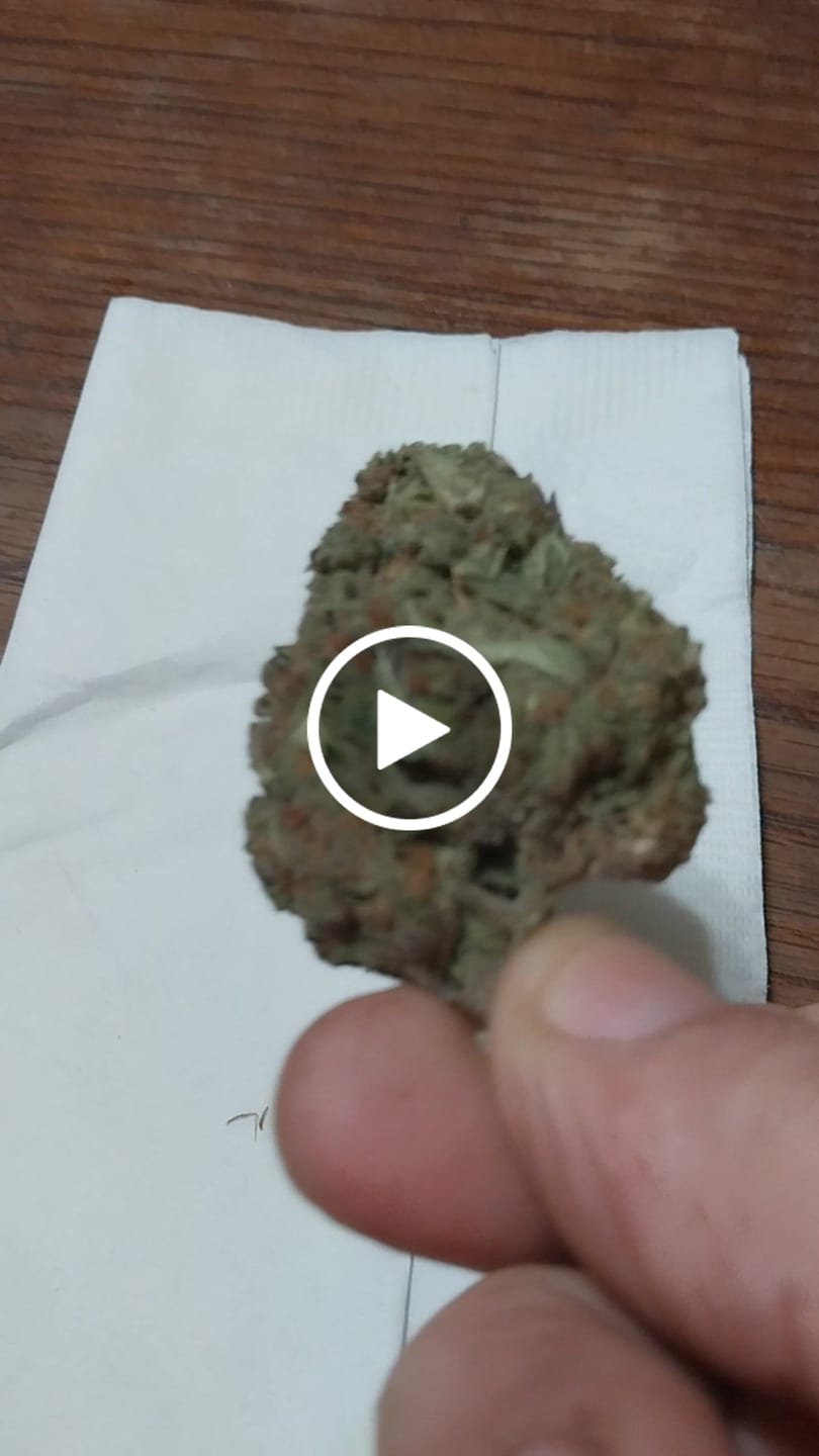 Customer video review of Black Ice THCA Flower Ounce (28g)