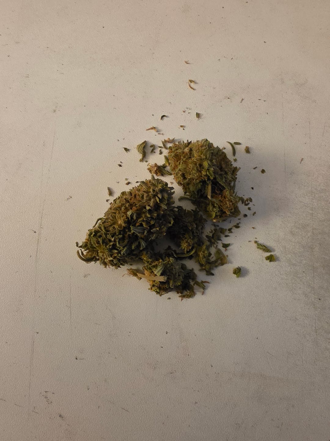 Customer photo review of (BOGO)White Widow 14G Flower