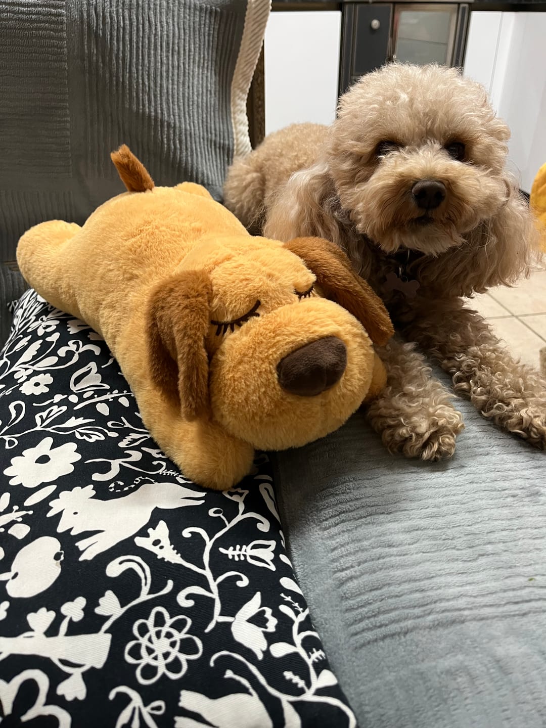 Customer photo review of Abbracciotto™ – Peluche Anti Ansia per Cani e Gatti