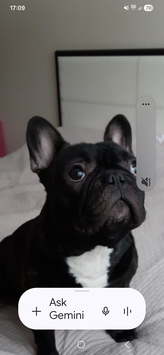 Customer photo review of Solo DIET konservi suņiem ar tunci