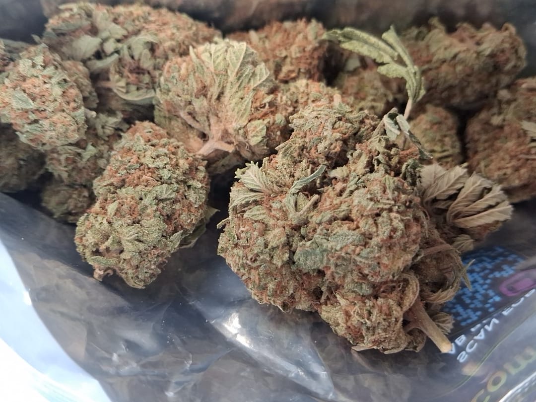 Customer photo review of Candy Gas THCA Flower
