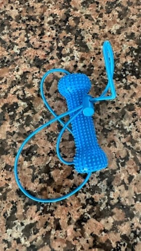 Customer photo review of PawSmile™ Dog Teeth Cleaner