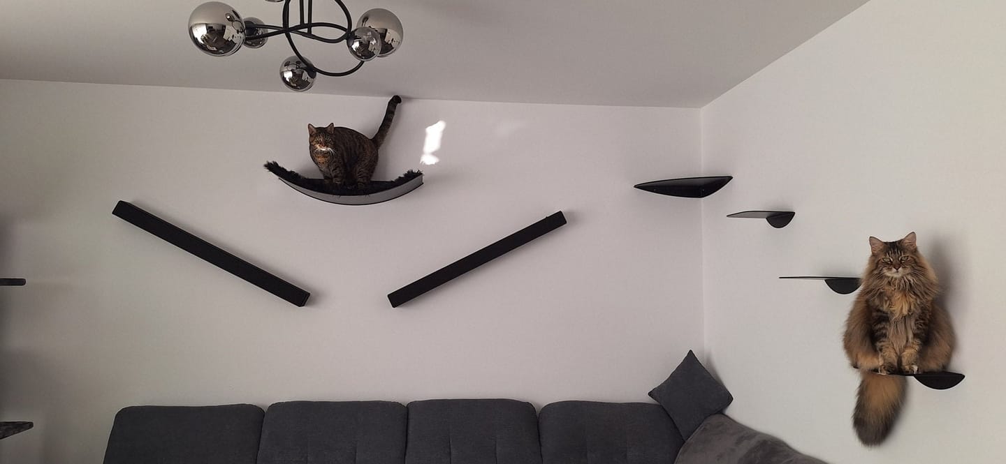 Customer photo review of STYA Katzen Kletterwand | Katzen Treppe WL140 | Mit 3 Stufen