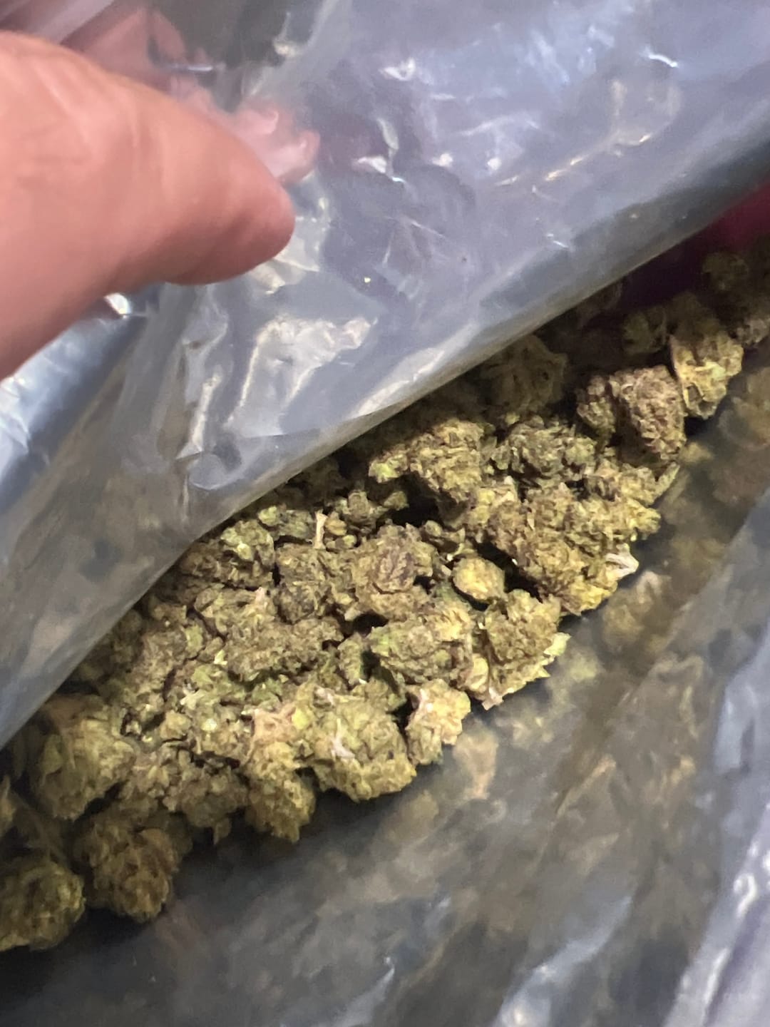 Customer photo review of THCA Queen