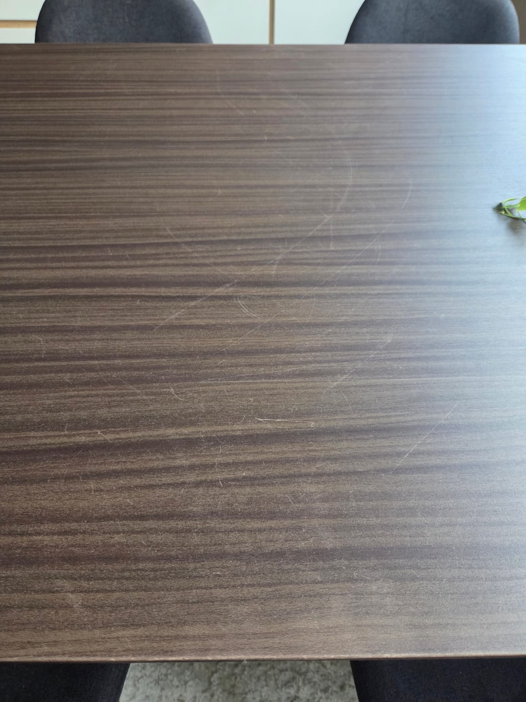 Customer photo review of Dark chestnut kontaktplast
