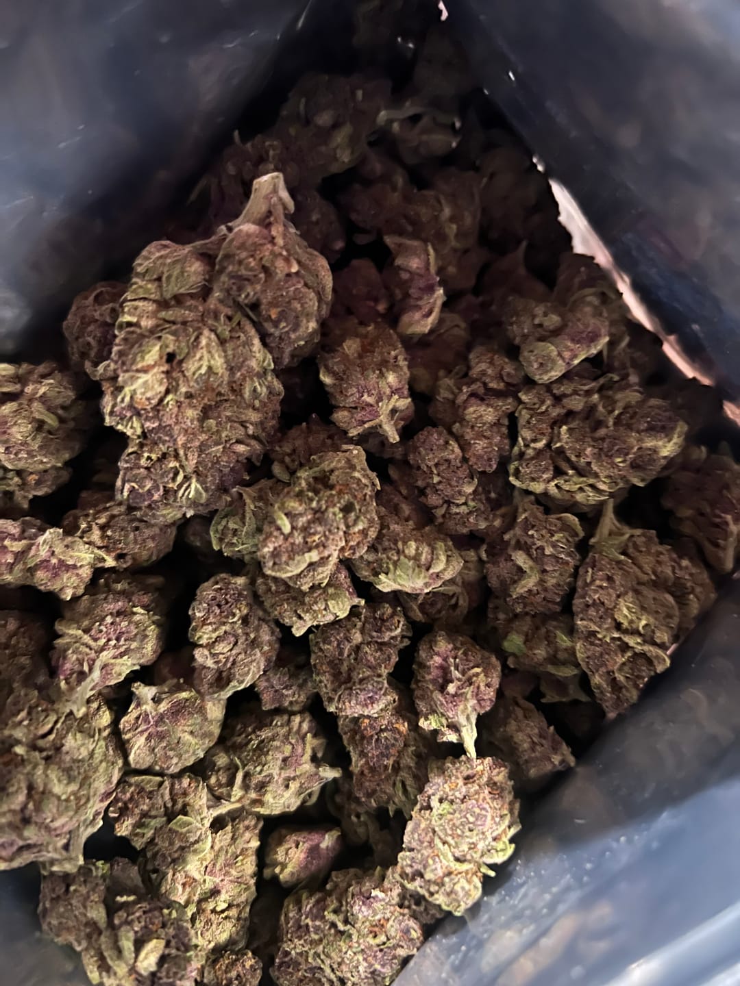 Customer photo review of Tropicana Cherry THCA Flower