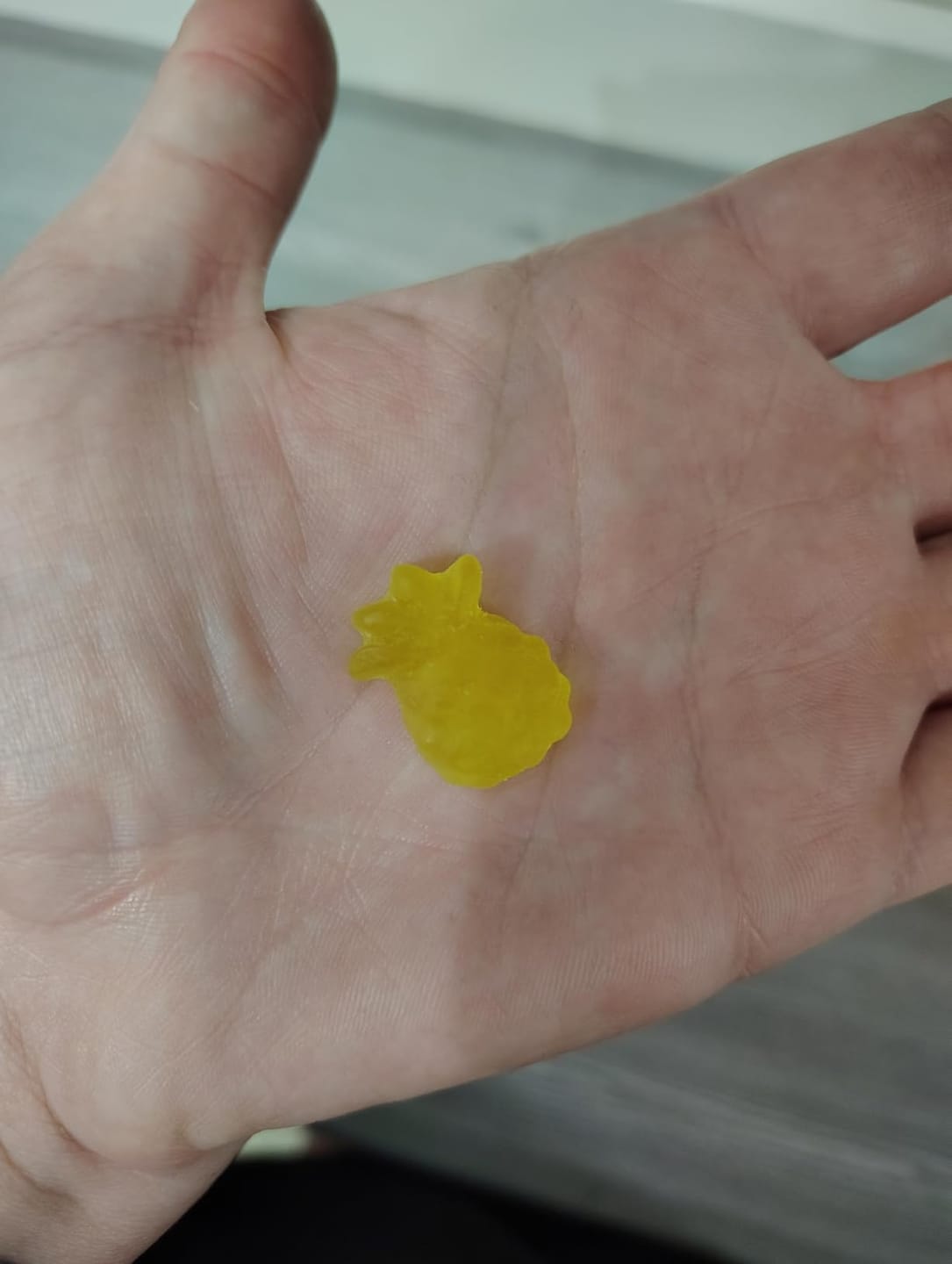 Customer photo review of Slippery Elm Probiotic Gummies for Women