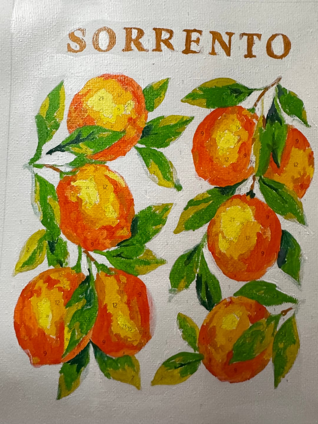 Customer photo review of 6 Mini Paintings - Italian Fruit & Drinks Set
