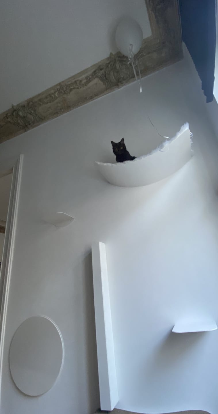 Customer photo review of STYA Katzen Kletterwand | Katzen Treppe WL140 | Mit 3 Stufen