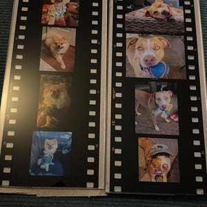 Customer photo review of Film Strip Photo Plaque