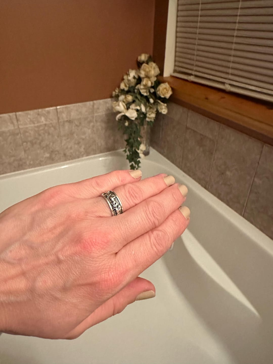Customer photo review of Horse Stampede Ring