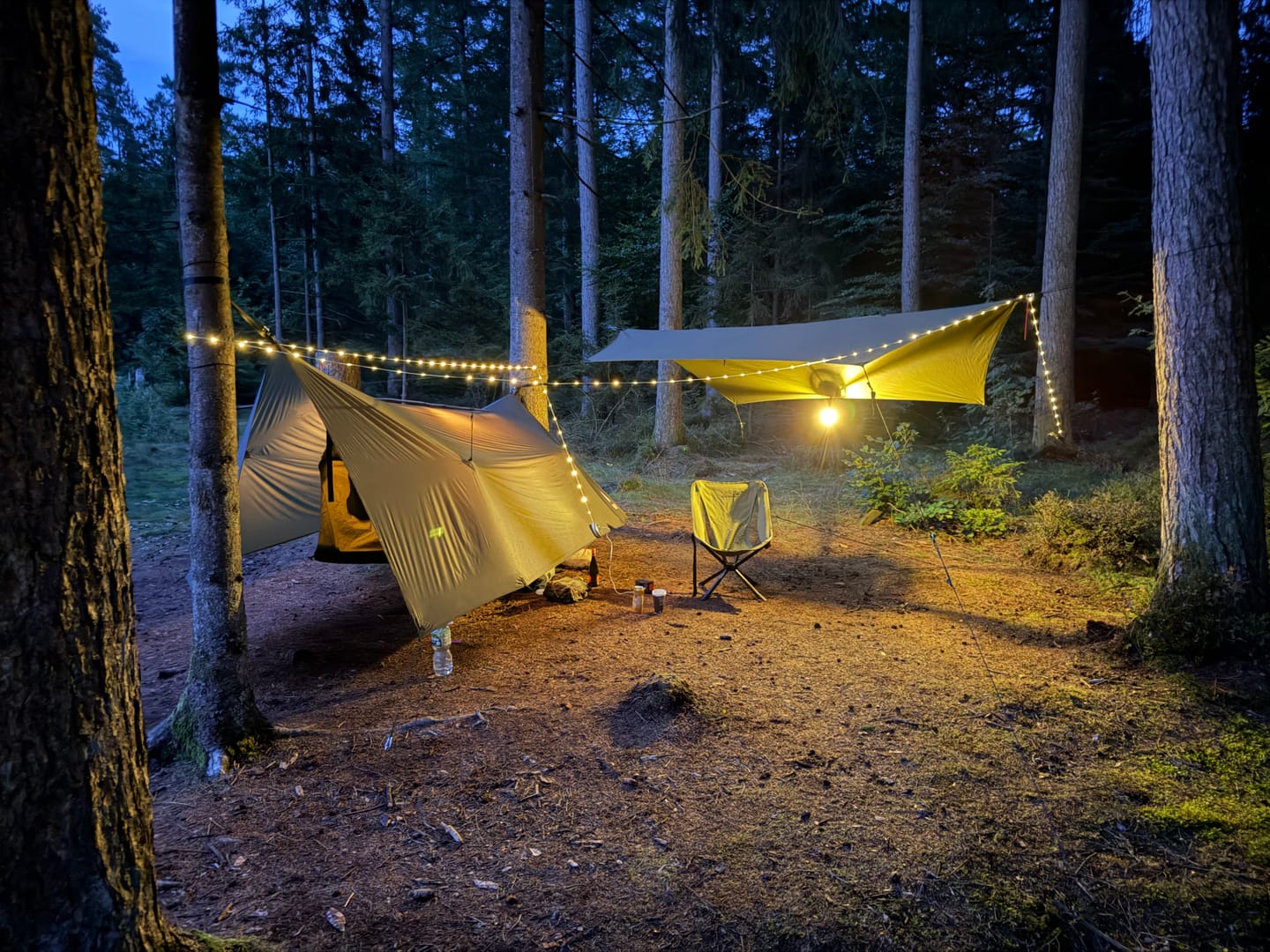 Customer photo review of Haven Camp Fly