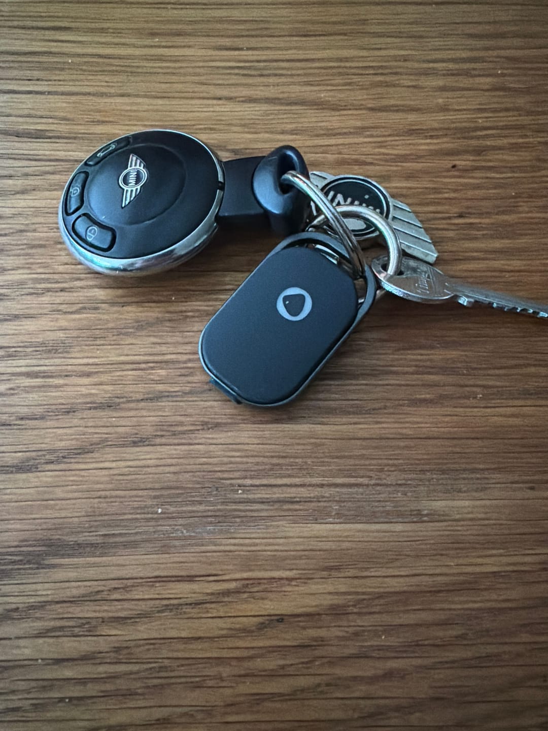 Customer photo review of Rechargeable Smart Tag