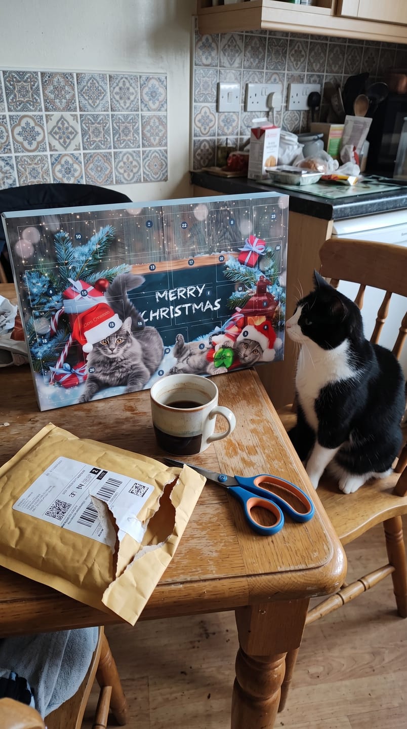 Customer photo review of Calendario de Adviento Para Gatos