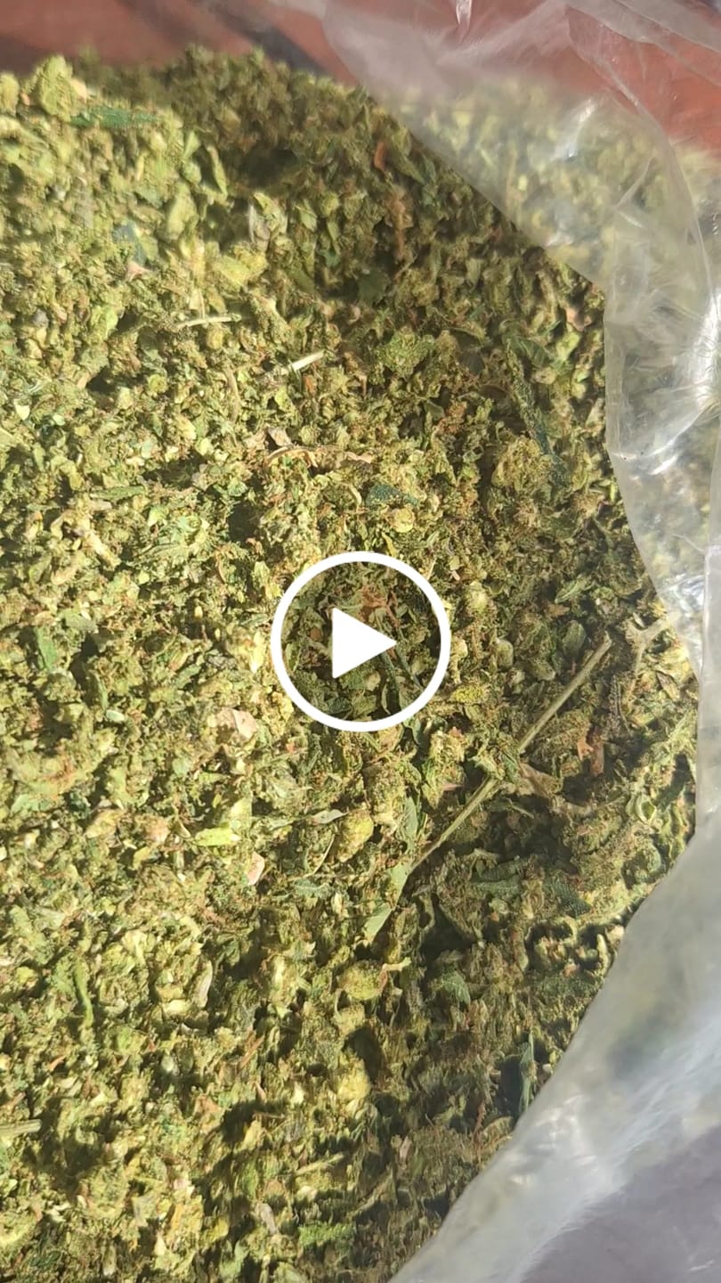 Customer video review of Cheap THCA Flower Trim