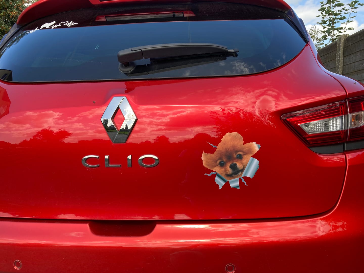 Customer photo review of Spioneren foto - Gepersonaliseerde autosticker