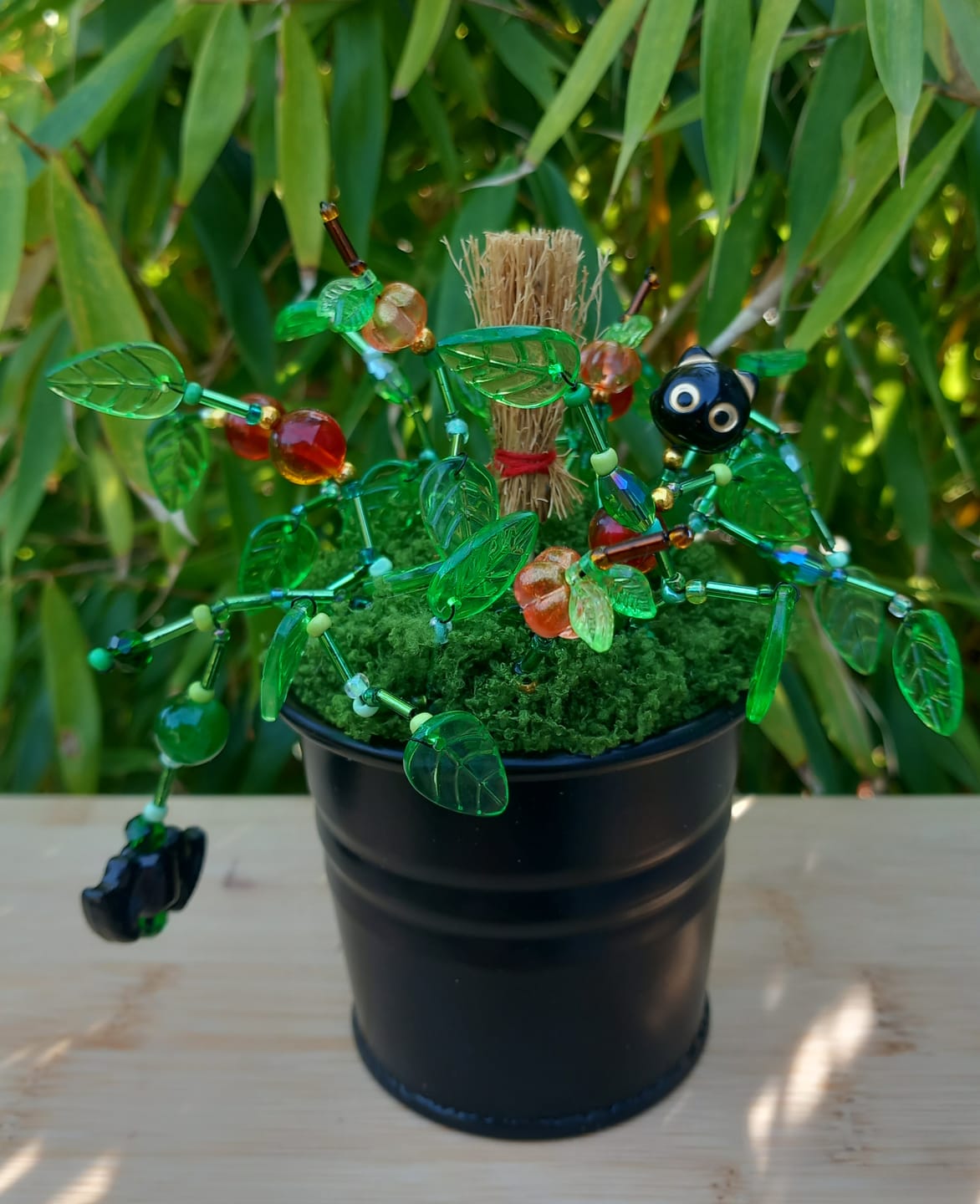 Customer photo review of Maak thuis je eigen kralenplant - Heksengroen
