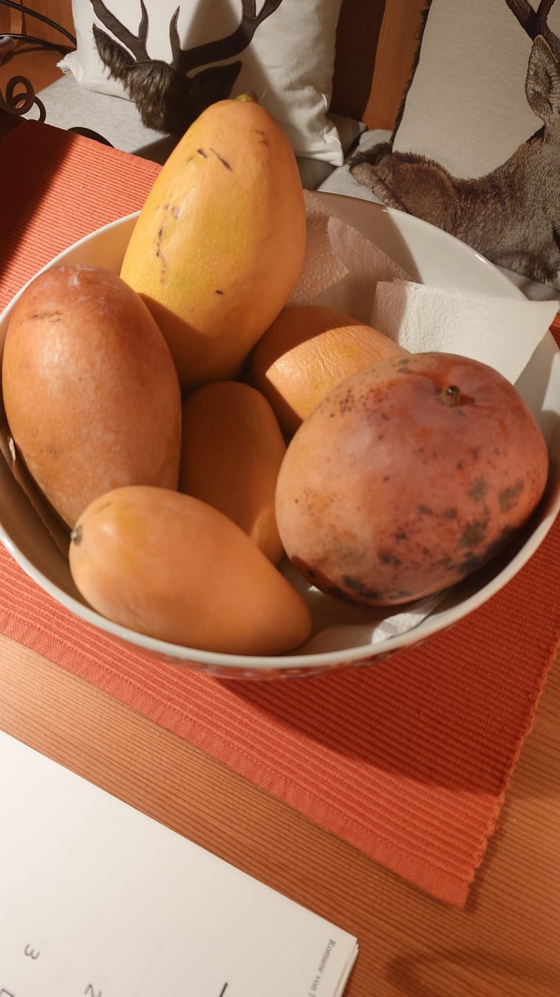 Customer photo review of Mango-Raritäten Mix von Julian Aktionswoche %