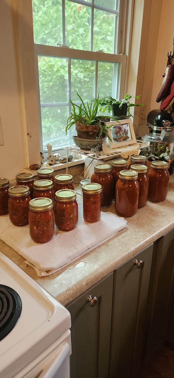 Customer photo review of Bulk Wide Mouth Canning Lids - 60 Pack
