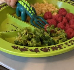 Customer photo review of DinoBites | Dinosaur Plate & Utensil Set