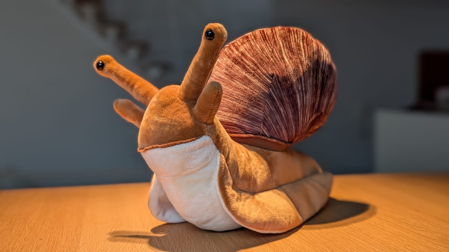 Customer photo review of Snail Soft Stuffed Plush Toy