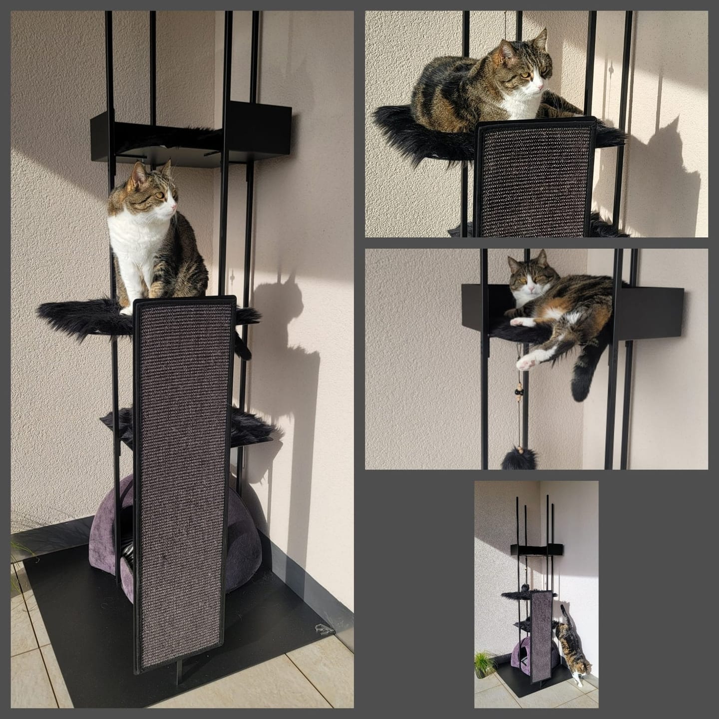 Customer photo review of STYA Katzen Kratzbaum MS310
