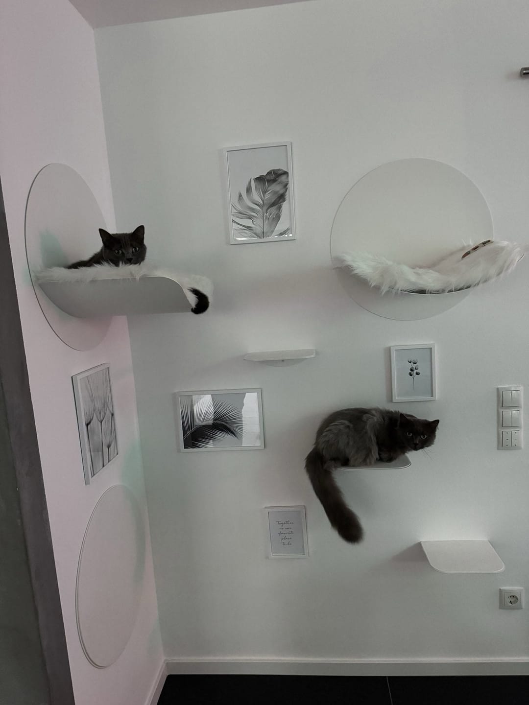 Customer photo review of STYA Katzen Kletterwand | Kratzbrett KF130