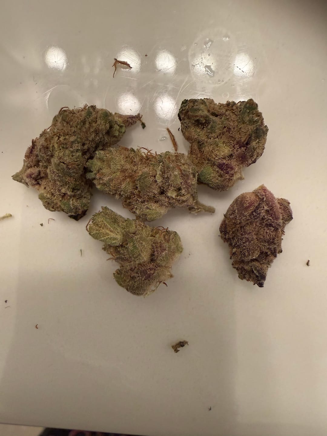 Customer photo review of Puffaroo - Key Lime Jack - 28 Grams - Sativa