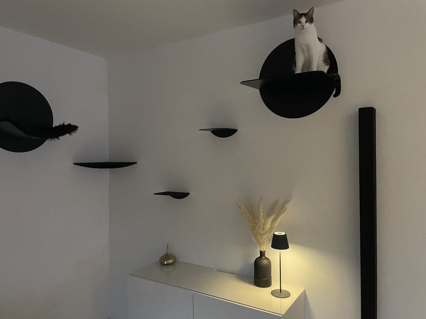 Customer photo review of STYA Katzen Kletterwand | Katzen Treppe WL140 | Mit 3 Stufen