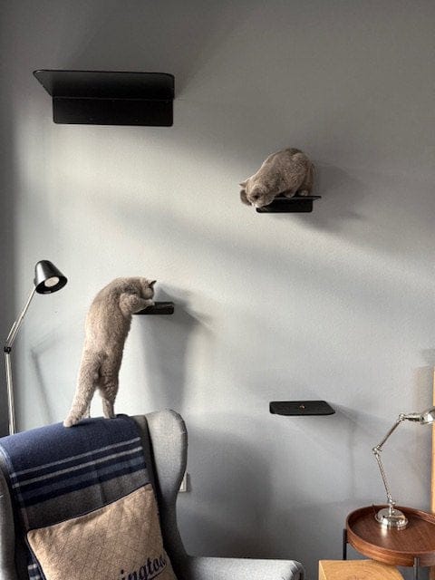 Customer photo review of STYA Katzen Kletterwand | Katzen Treppe WL340 | Mit 3 Stufen