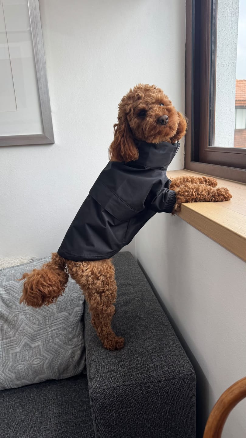 Customer photo review of Chaqueta Impermeable de Lluvia - Negro