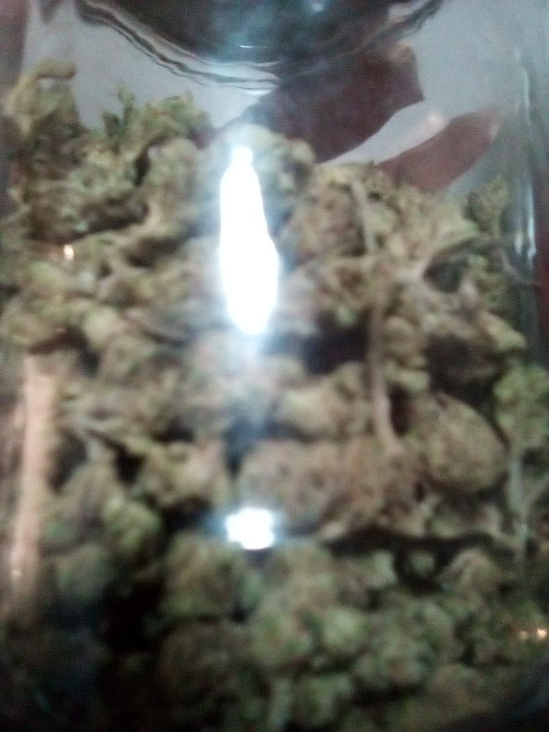 Customer photo review of Cheap THCA Smalls Pound