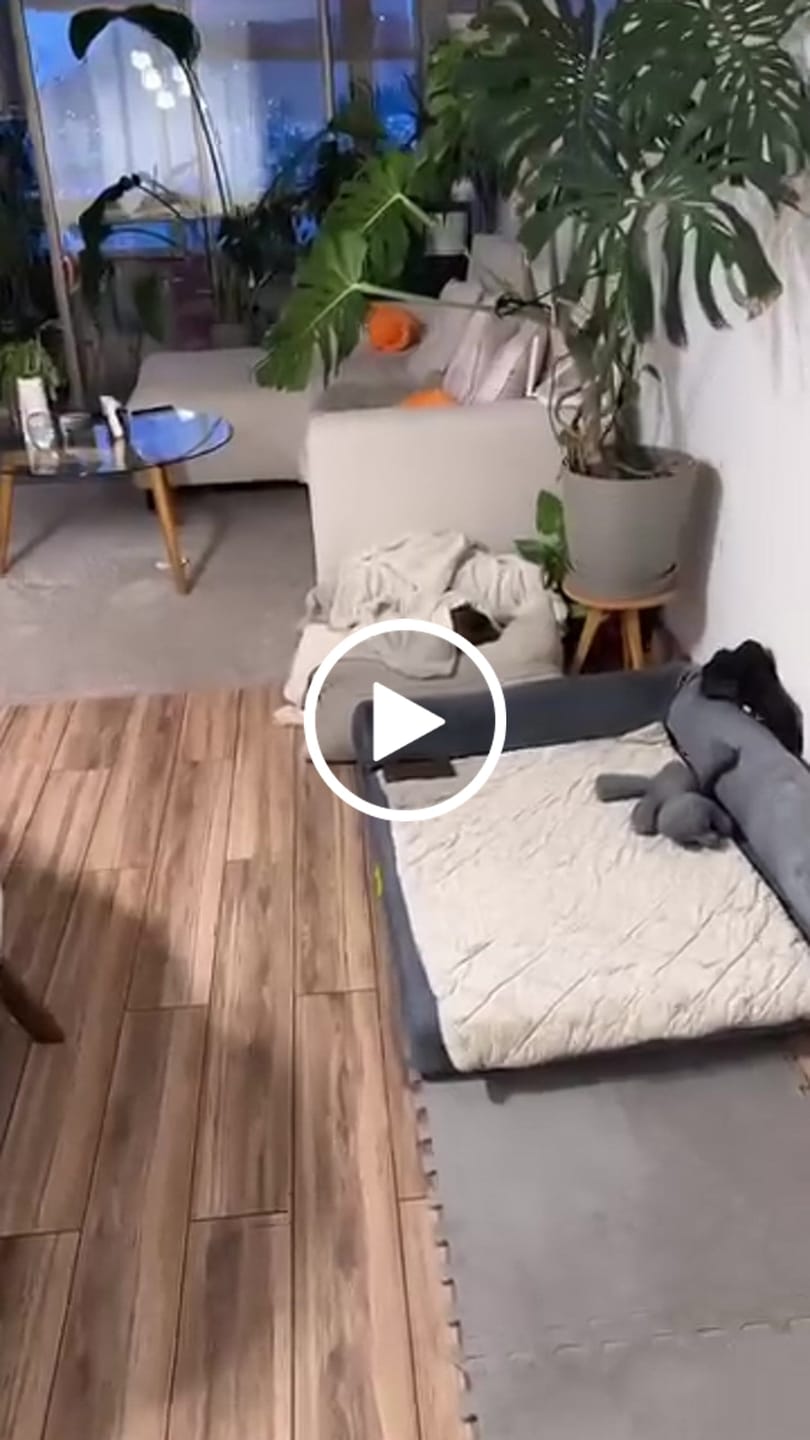 Customer video review of Cama Yoko Arena