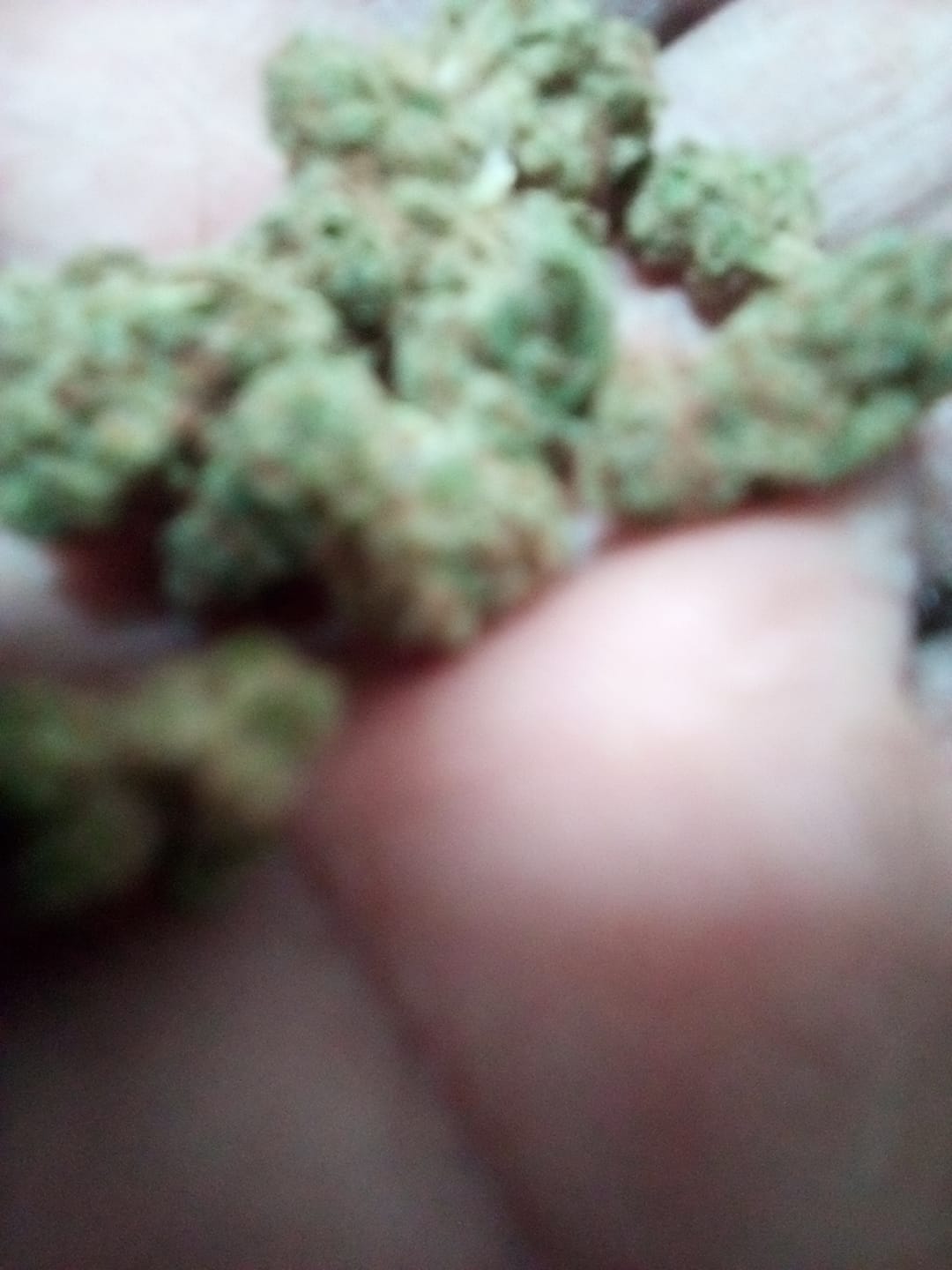 Customer photo review of Cheap THCA Smalls Pound