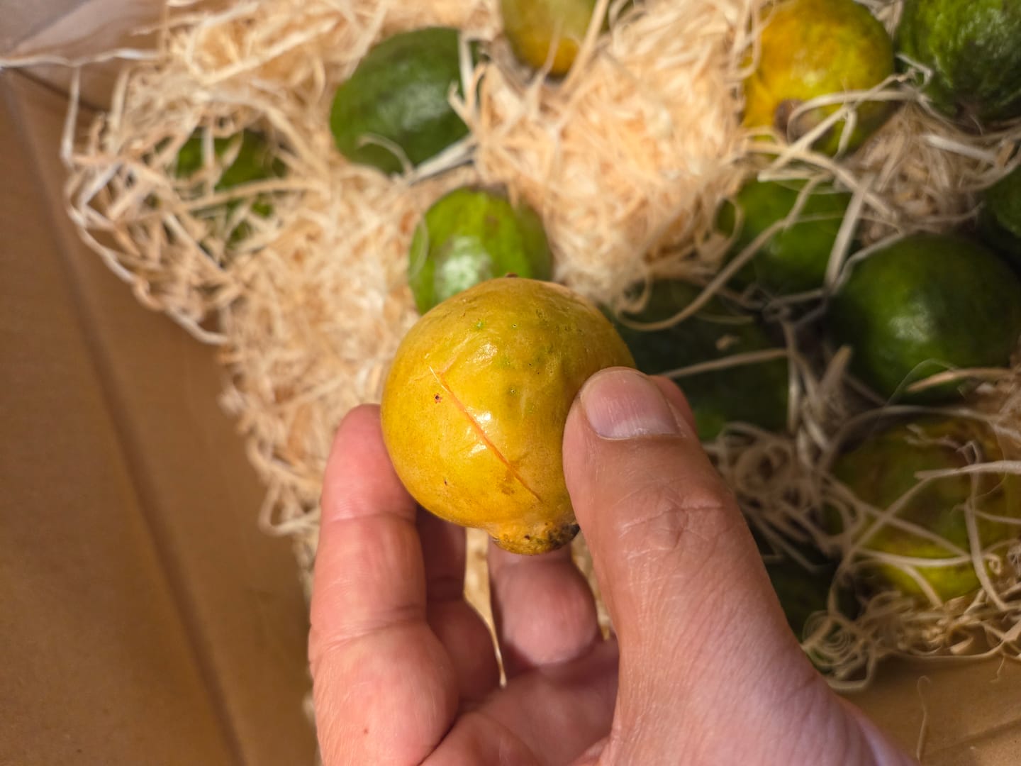 Customer photo review of Guave rot naturbelassen von Julian