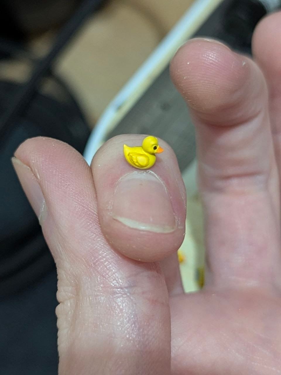 Customer photo review of 6 Pack of Tiny Rubber Ducks (5mm)