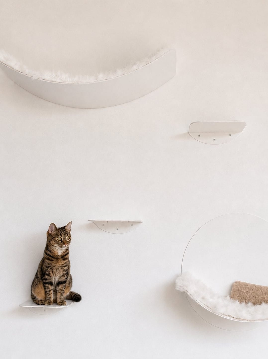 Customer photo review of STYA Katzen Kletterwand | Set Minimalist Hängematte XXL | Linie WL100