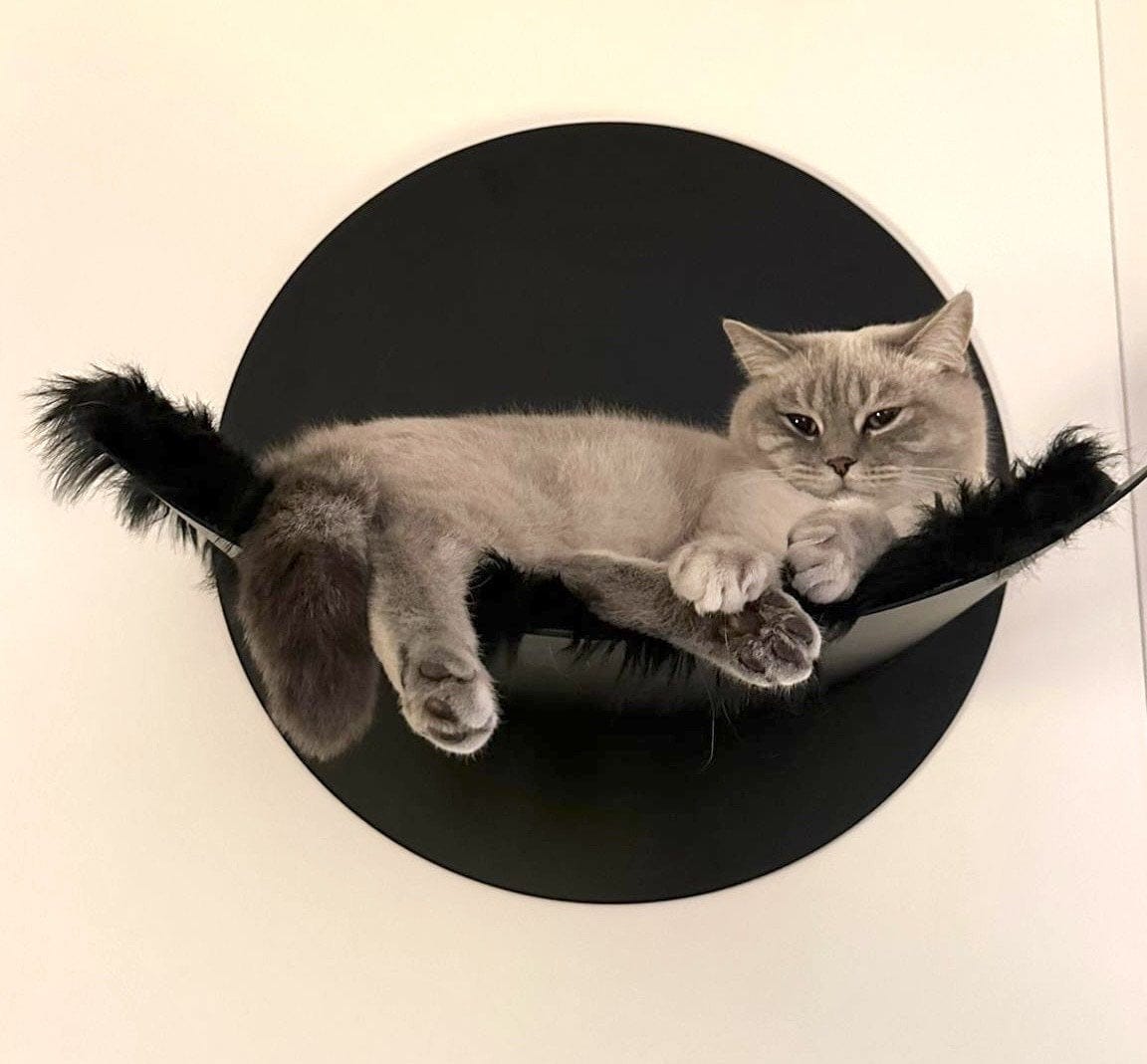 Customer photo review of STYA Katzen Kletterwand | Hängematte WL110