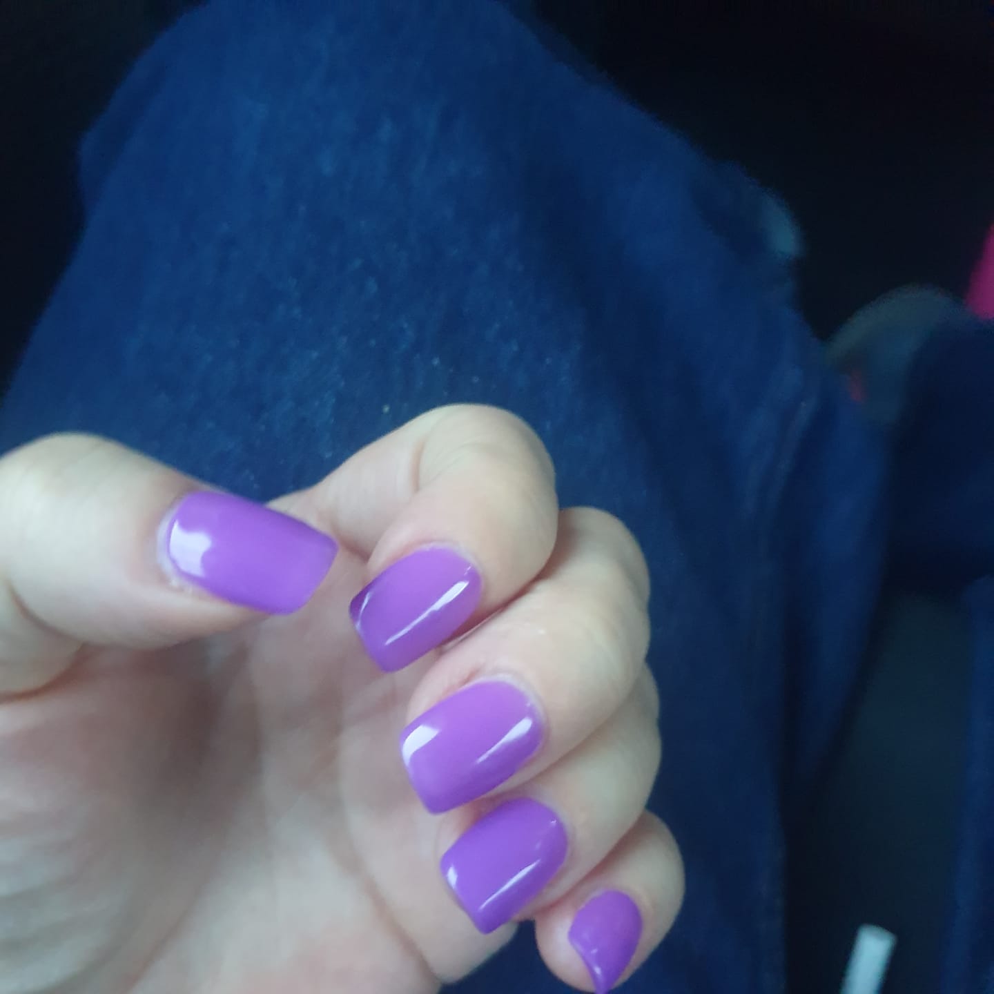 Customer photo review of Smalto Semipermanente LCI -  Violetta - Viola