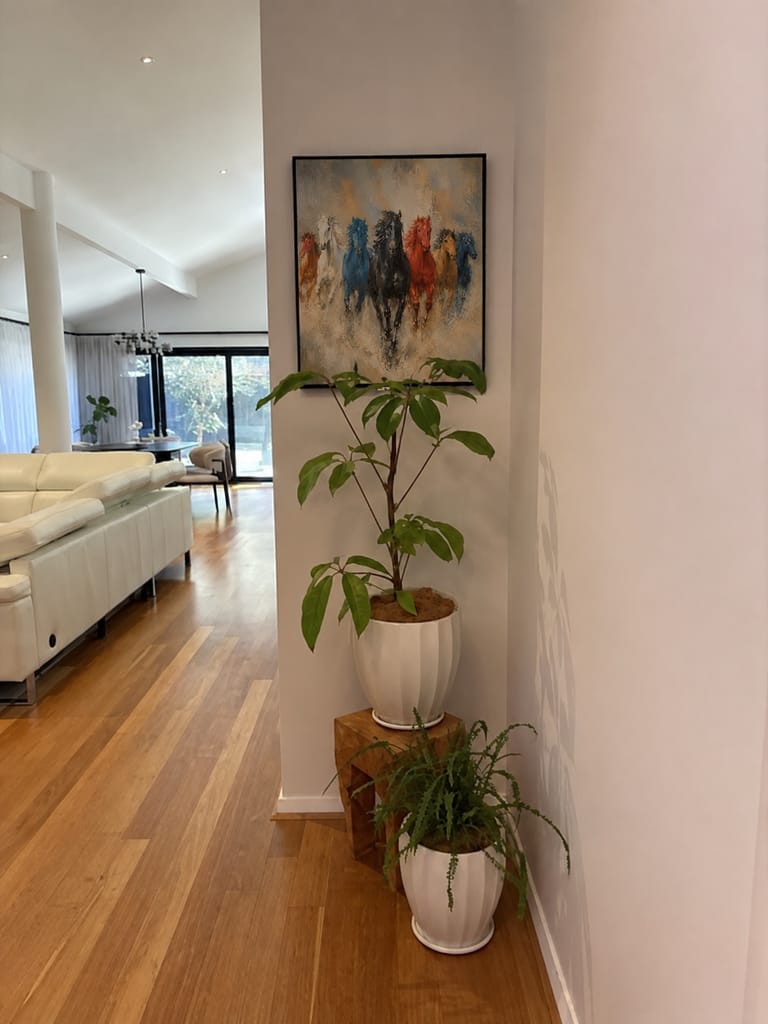 Recensione fotografica dei clienti dell'arte espressionista XEOV