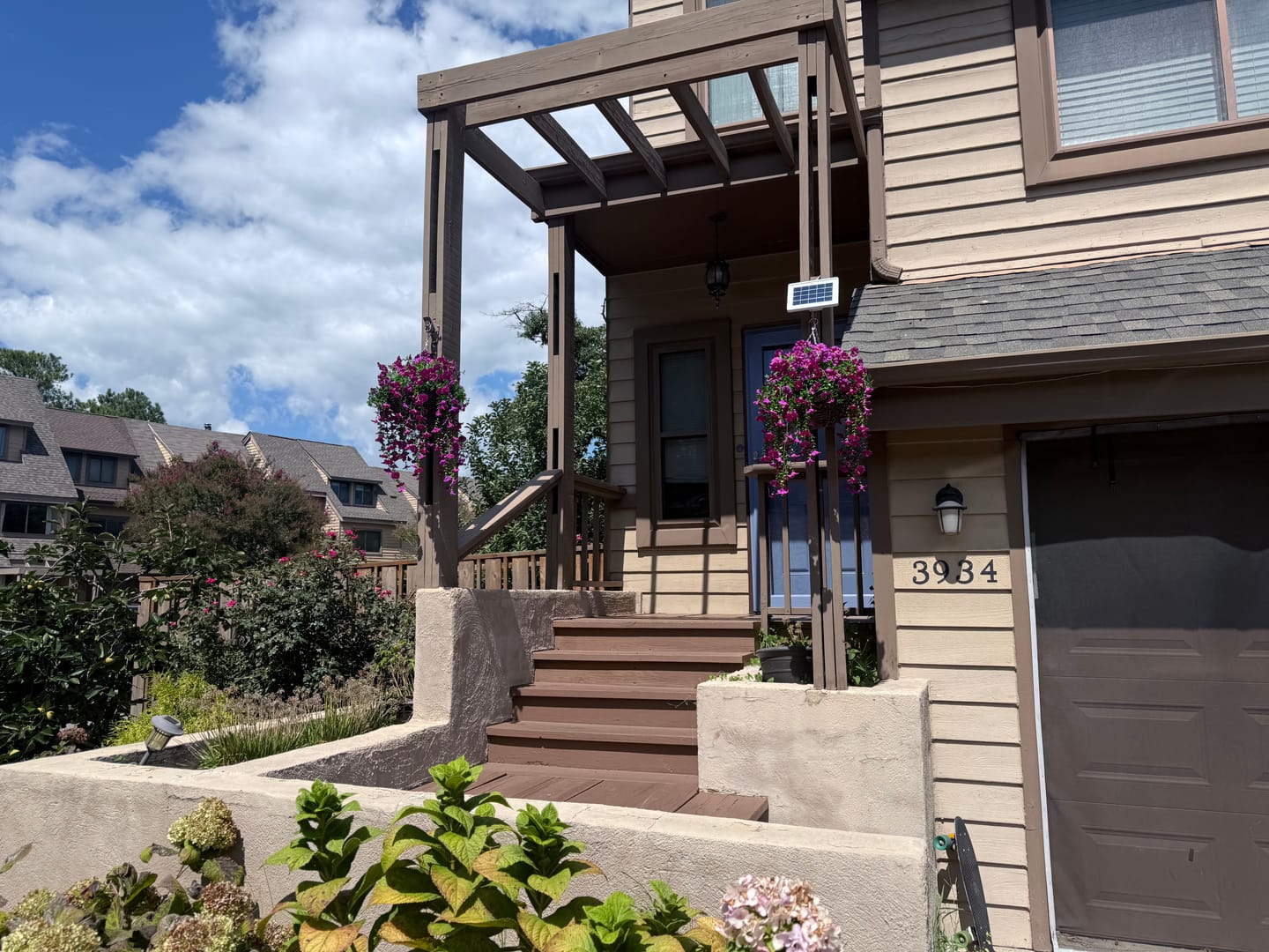 Customer photo review of Outdoor Hanging Petunia Basket - Purple