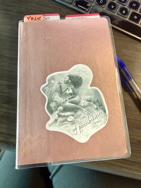 Customer photo review of Wonderland 222 2025 Vinyl Stickers