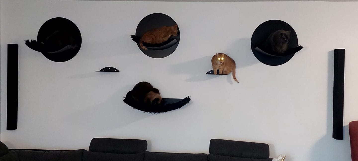 Customer photo review of STYA Katzen Kletterwand | Set Minimalist Hängematte XXL | Linie WL100