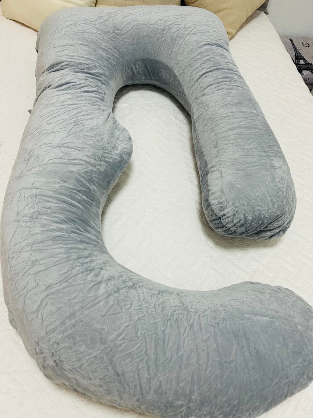 Customer photo review of Car Companion Pillow